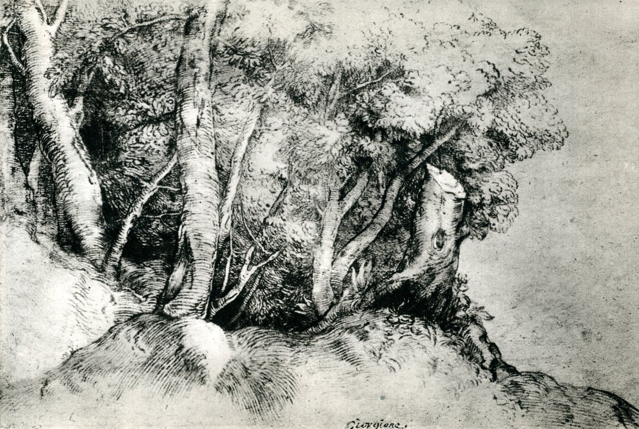 Skoglandskap, c1516-1518, 1937 av Tiziano Vecelli