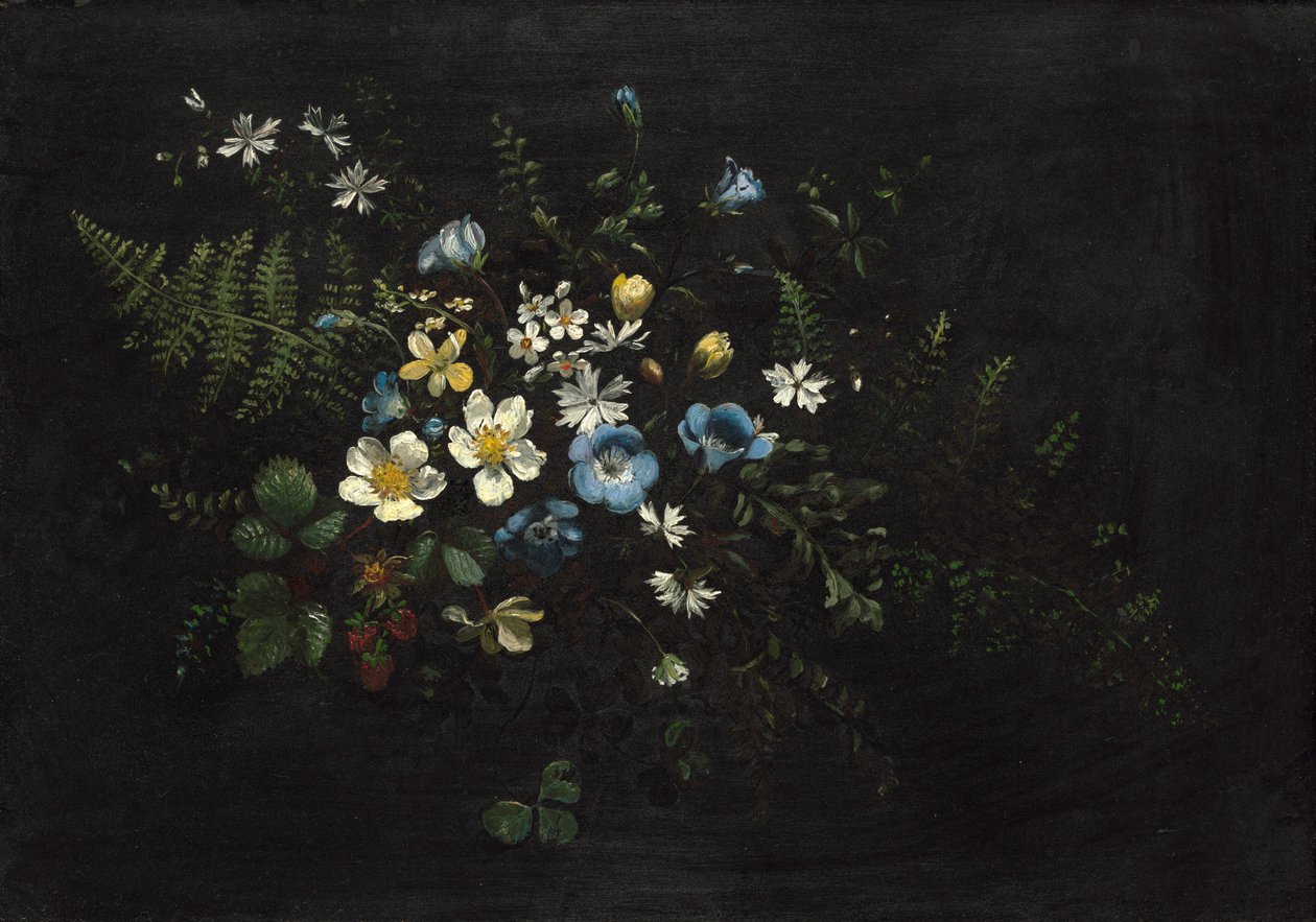 Spray av blomster og bregner, dato ukjent. av Titian Ramsay Peale