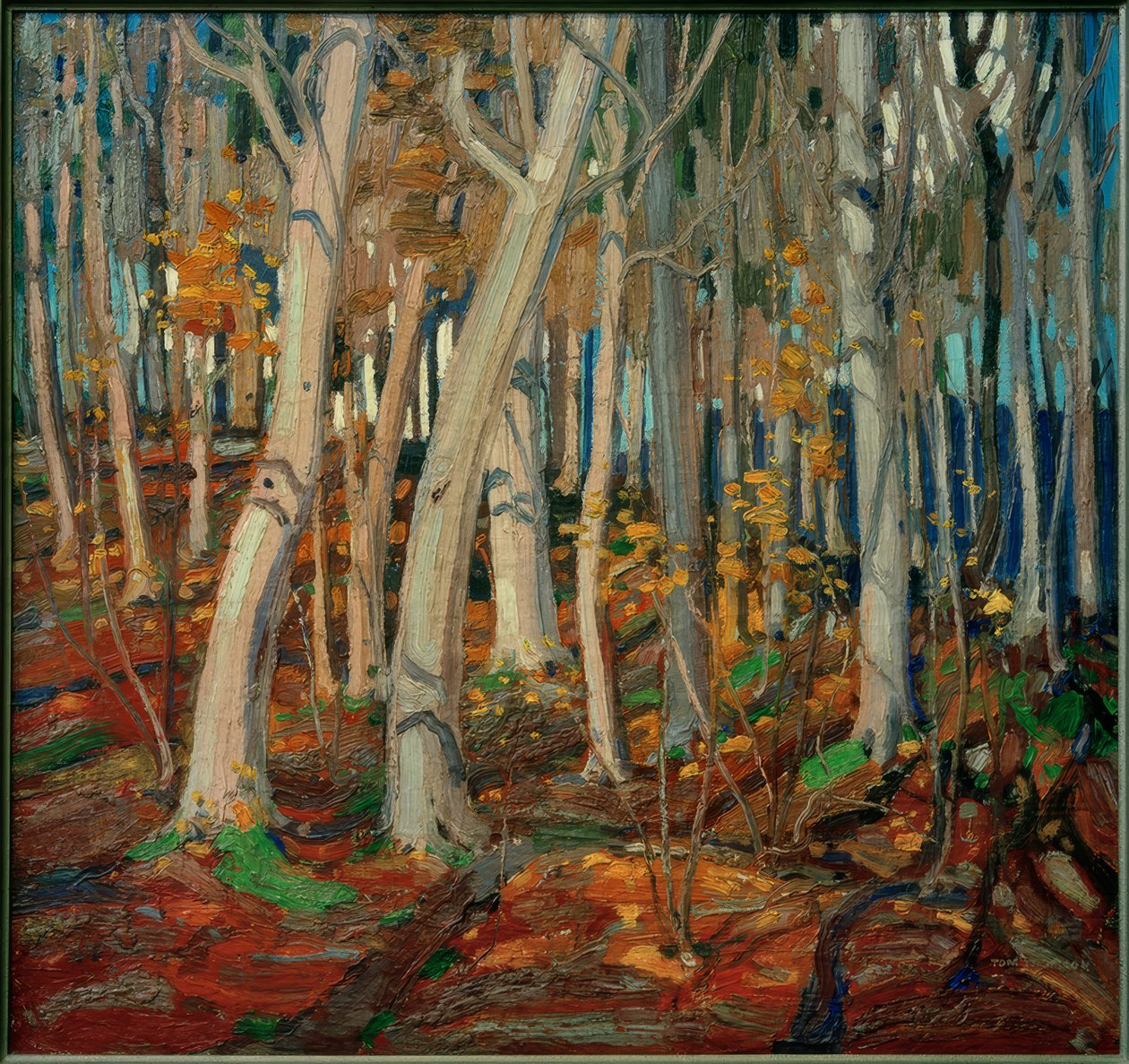 Maple Woods, bare stammer, 1916 av Tom Thomson