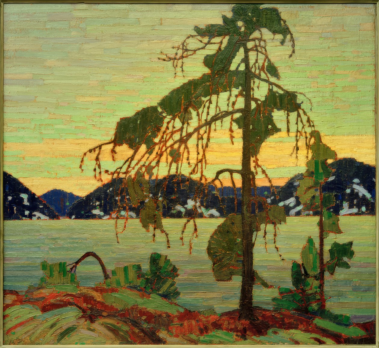 Jack Pine av Tom Thomson
