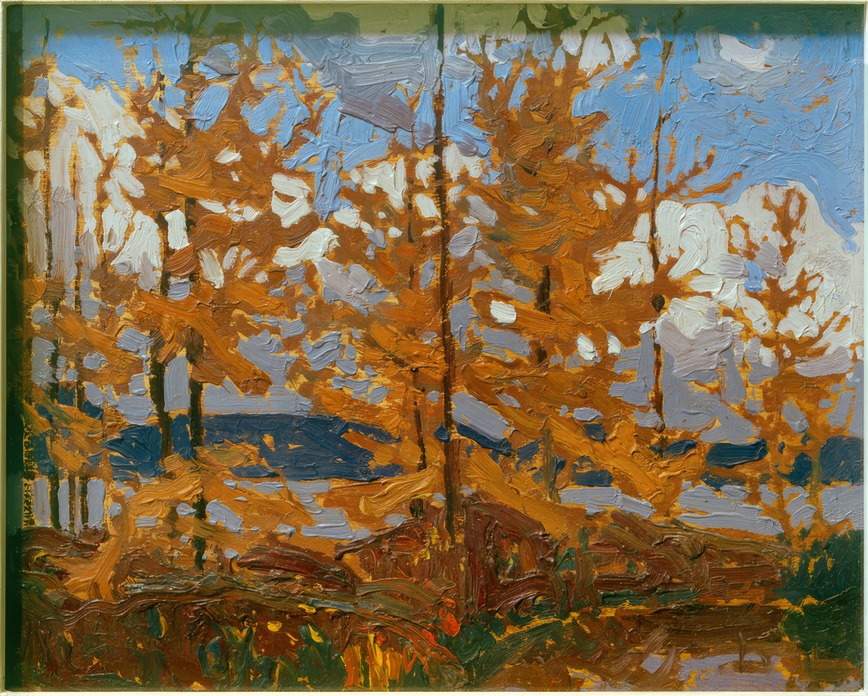 tamarkas av Tom Thomson