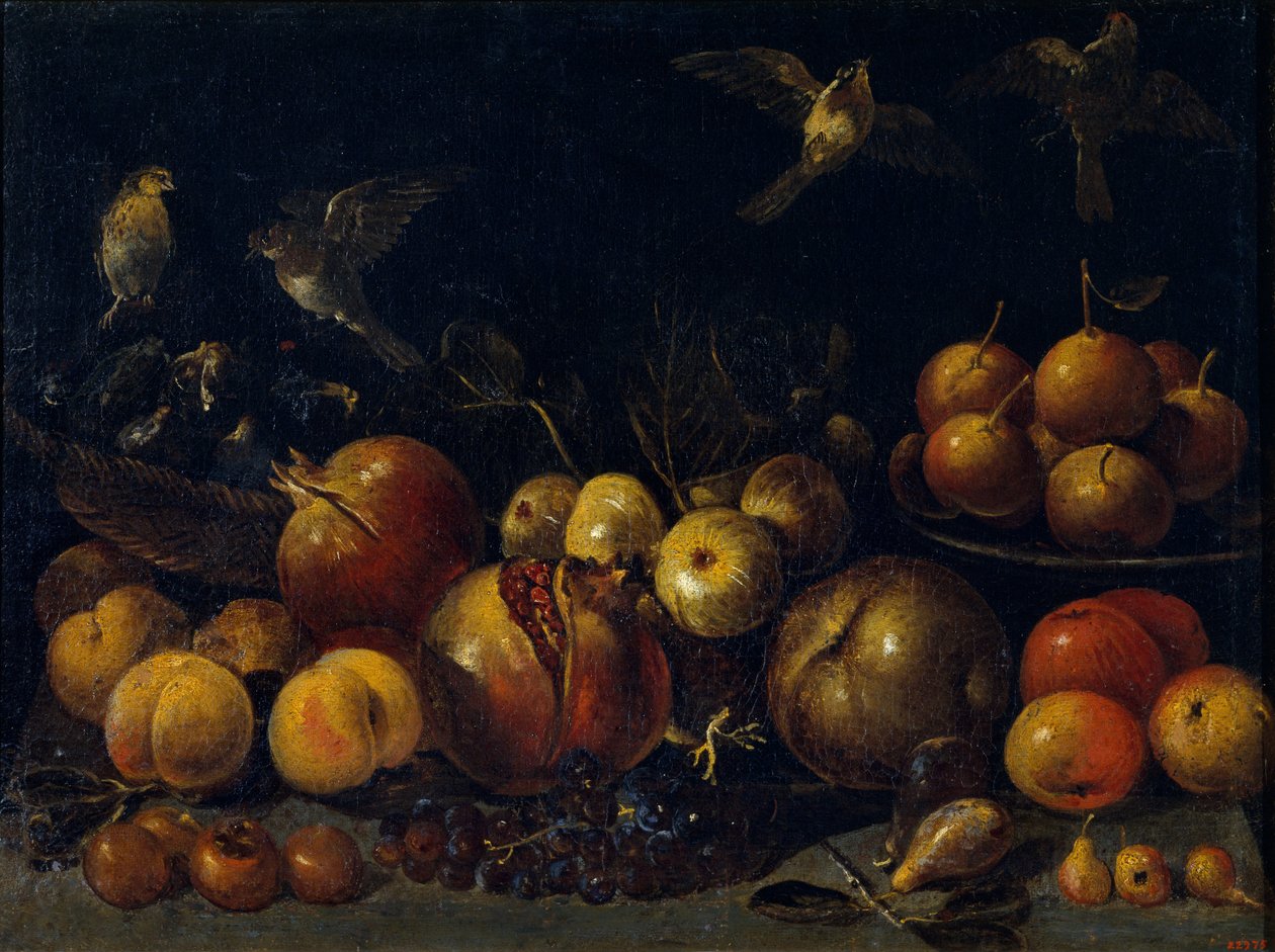 Stilleben med granatepler, epler, pærer, druer, fiken og fugler av Tommaso Realfonso