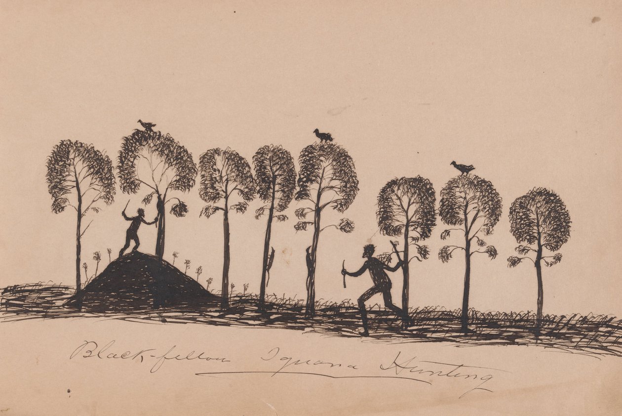 Kwatkwat -mennesker - Black fellow iguana hunting -Sketchbook of Aboriginal activities av Tommy McRae