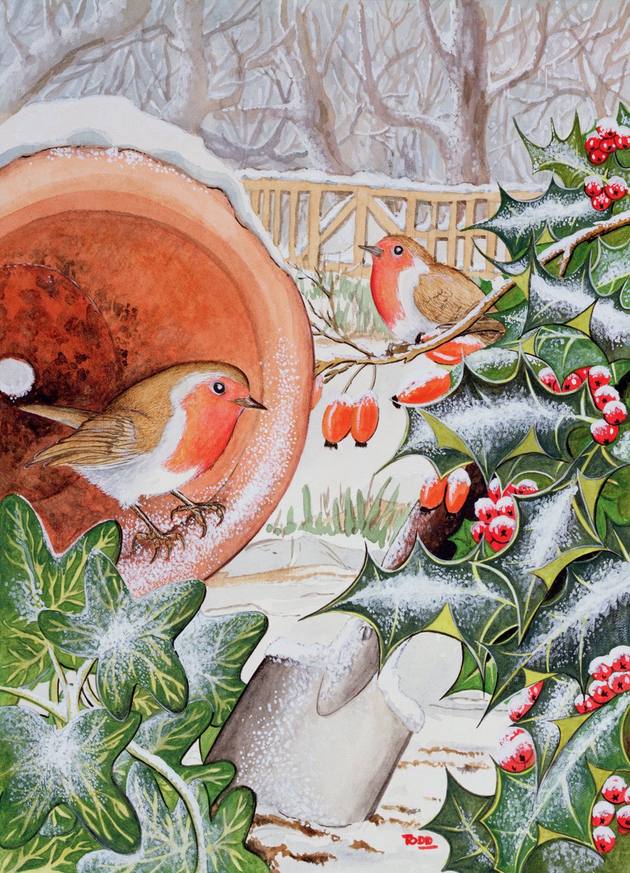 Christmas Robins (wc) av Tony Todd