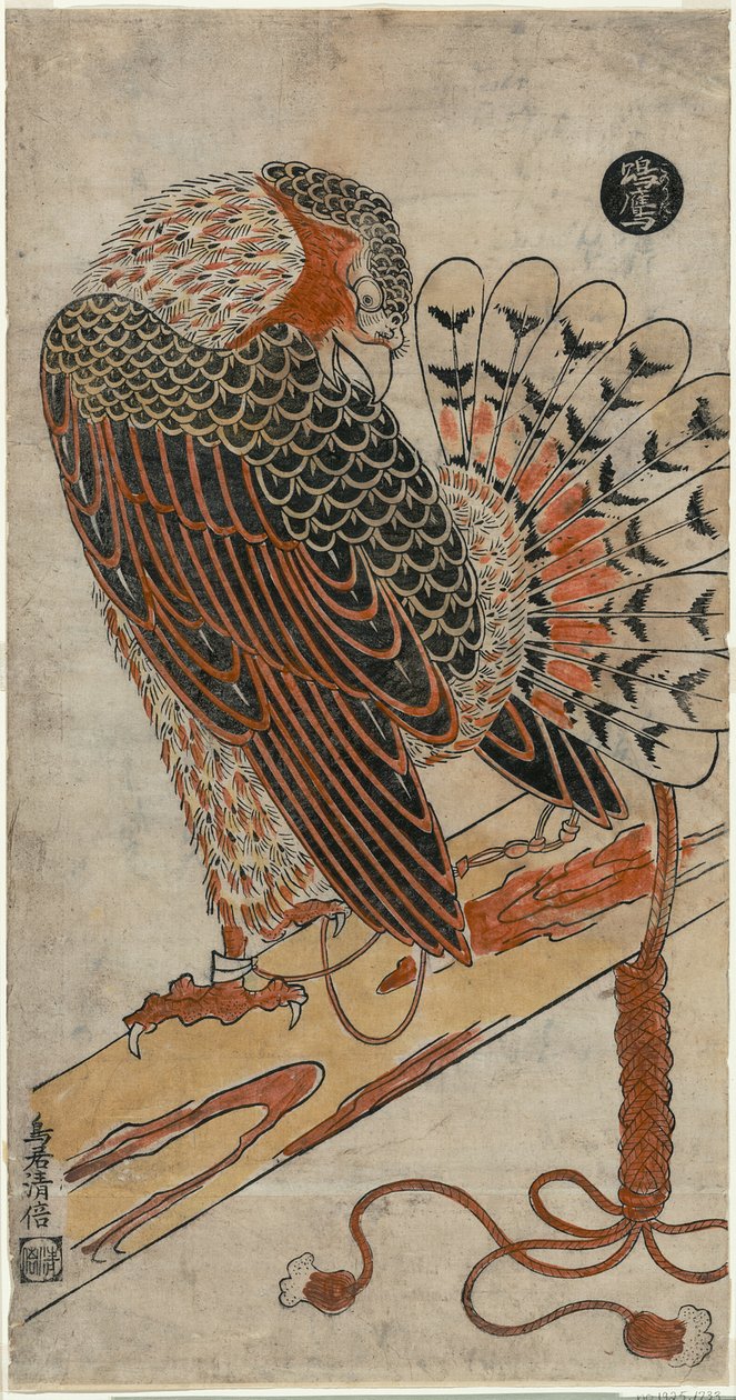 Sparrowhawk (Konori Taka) av Torii Kiyomasu I