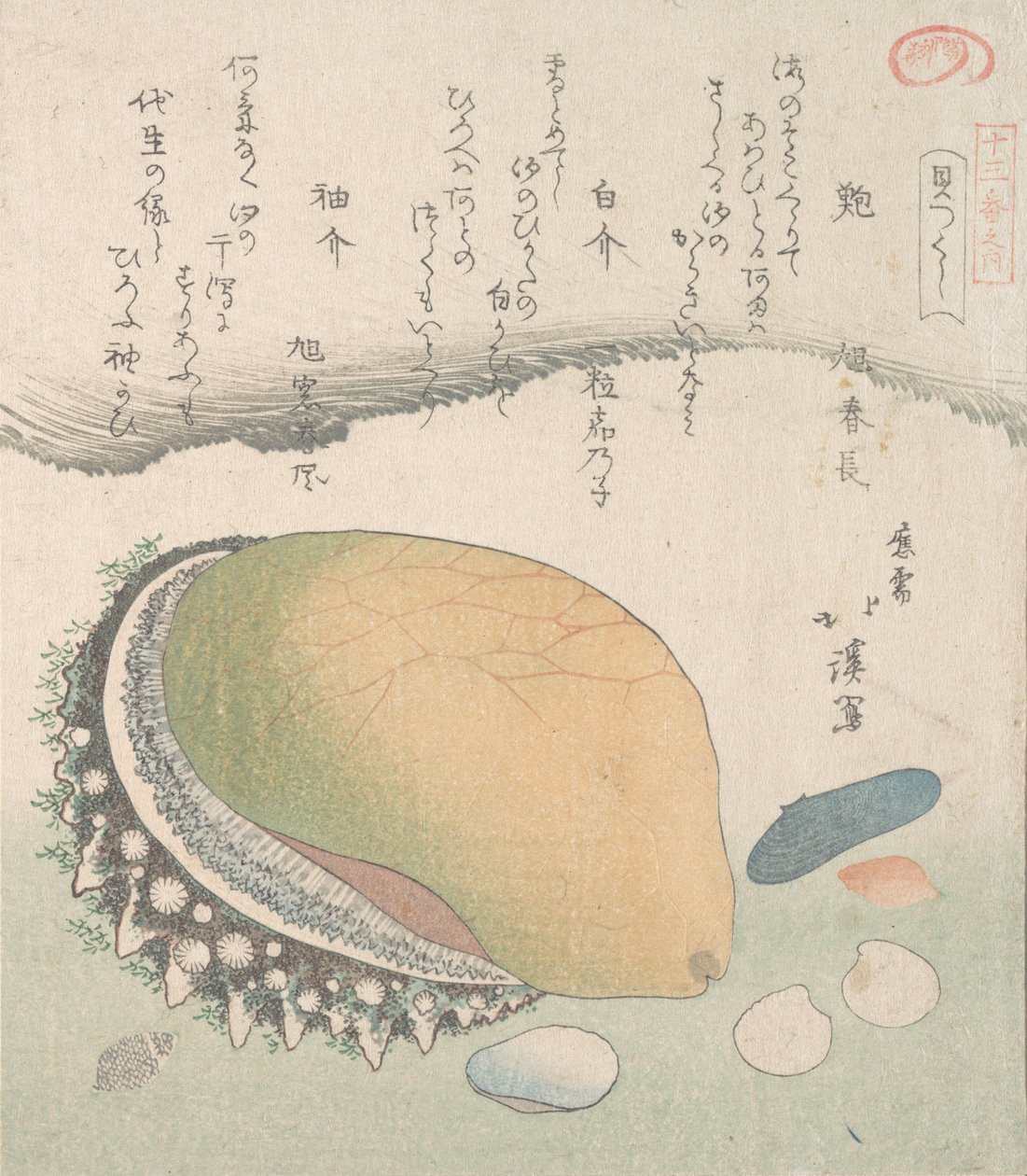 Awabi øreskall og forskjellige skjell, 1800-tallet. av Totoya Hokkei