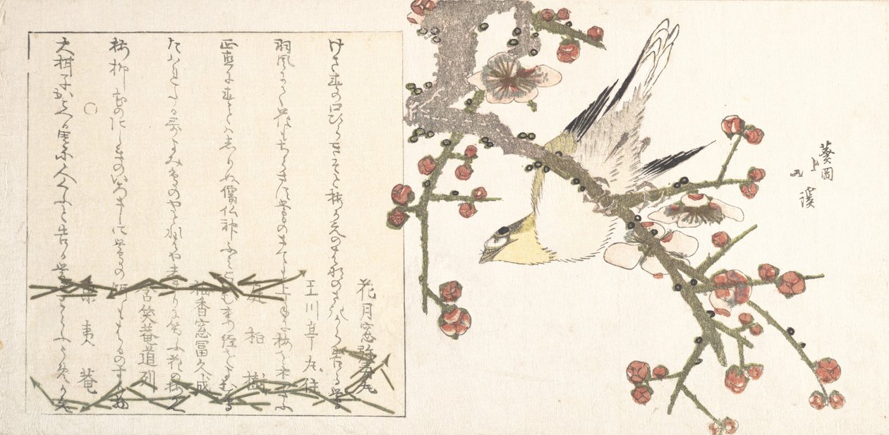 Bush Warbler on a Plomme Branch Ume ni uguisu, tidlig på 1800-tallet. av Totoya Hokkei