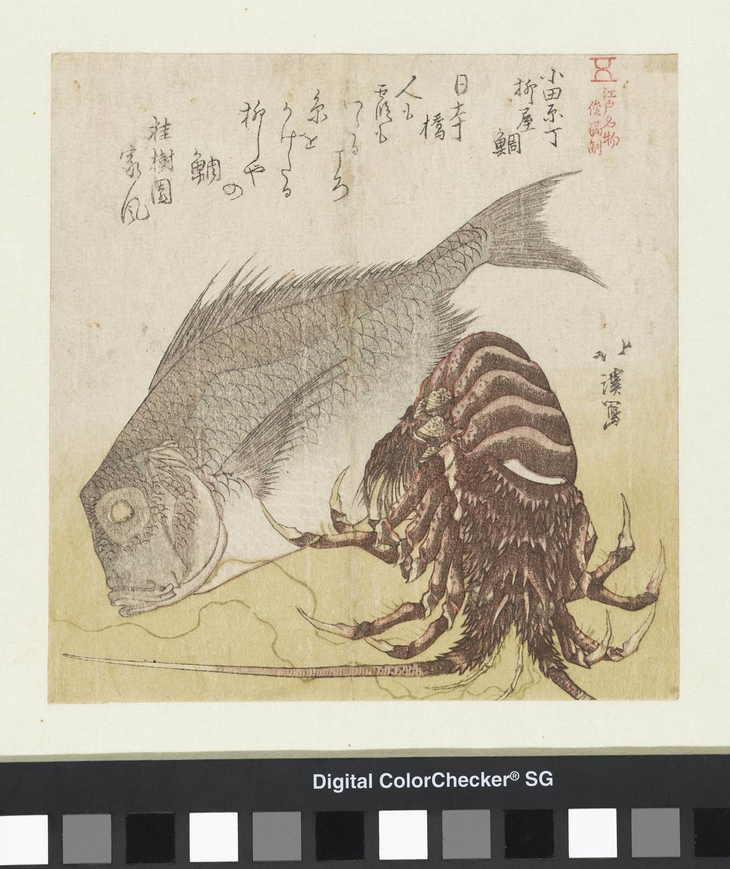 Havabboren til Yanagiya i Odawara Chô Odawara Chô Yanagiya tai (tittel på objekt) Kjente produkter fra Edo (serietittel) Edo meibutsu (serietittel på objekt) av Totoya Hokkei