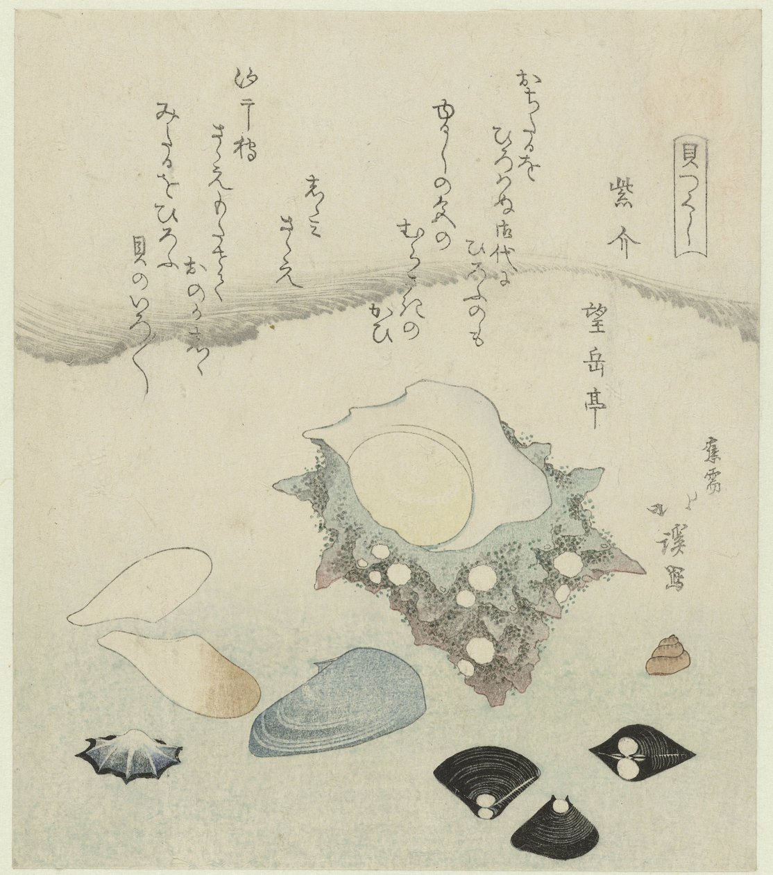 Lilla skall, ferskvannsmuslinger og et turbanskall Murasakigai shijimi sazae (tittel på objekt) En serie med skjell (serietittel) Kaitsukushi (serietittel på objekt) av Totoya Hokkei