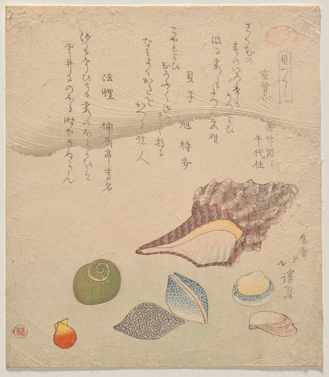 Seven Shells at the Edge of the Sea, fra serien Shells Compendium (Kaizukushi) av Totoya Hokkei