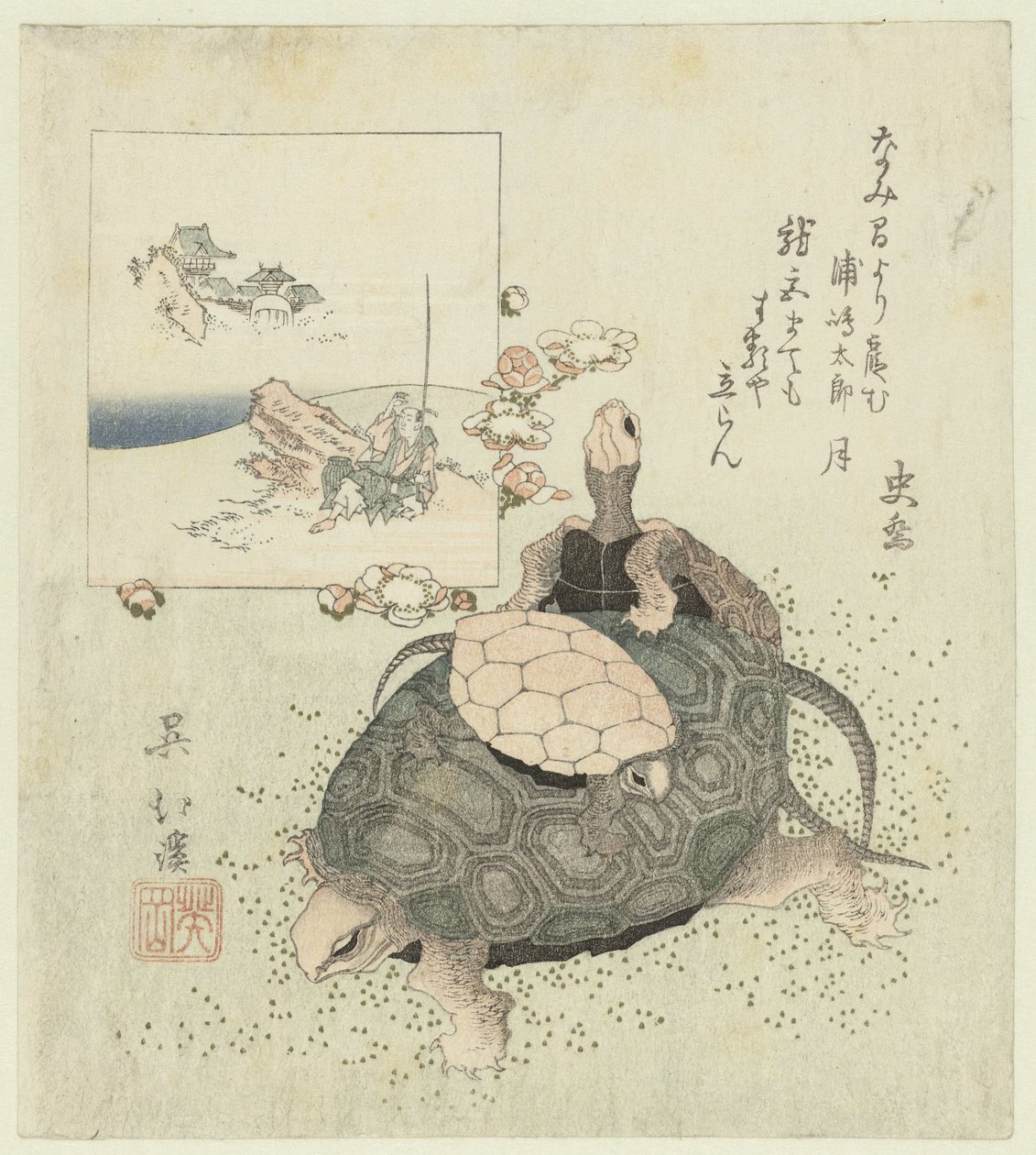 Skilpadder av Totoya Hokkei