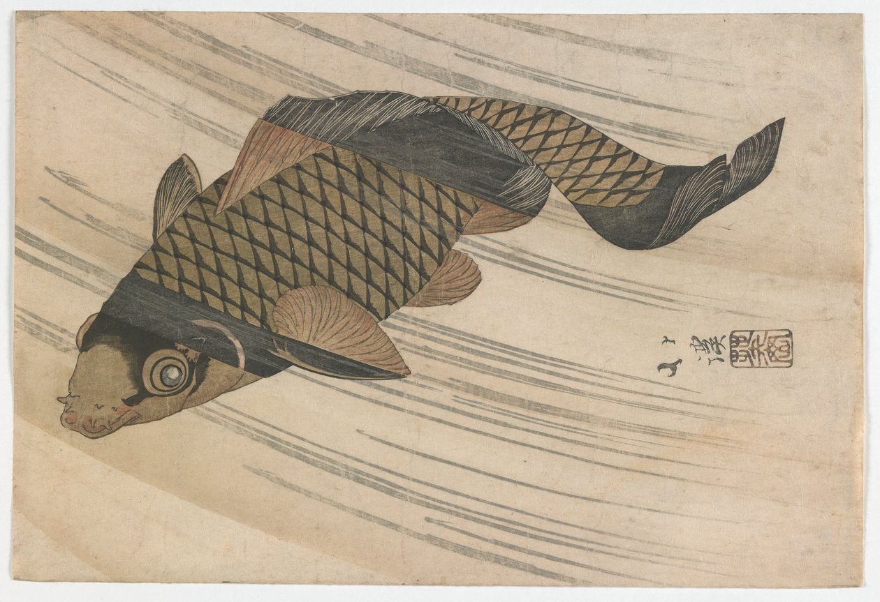 Carp Swimming Upstream, Edo-periode, midten av 1820-tallet (farget treblokktrykk) av Toyota Hokkei