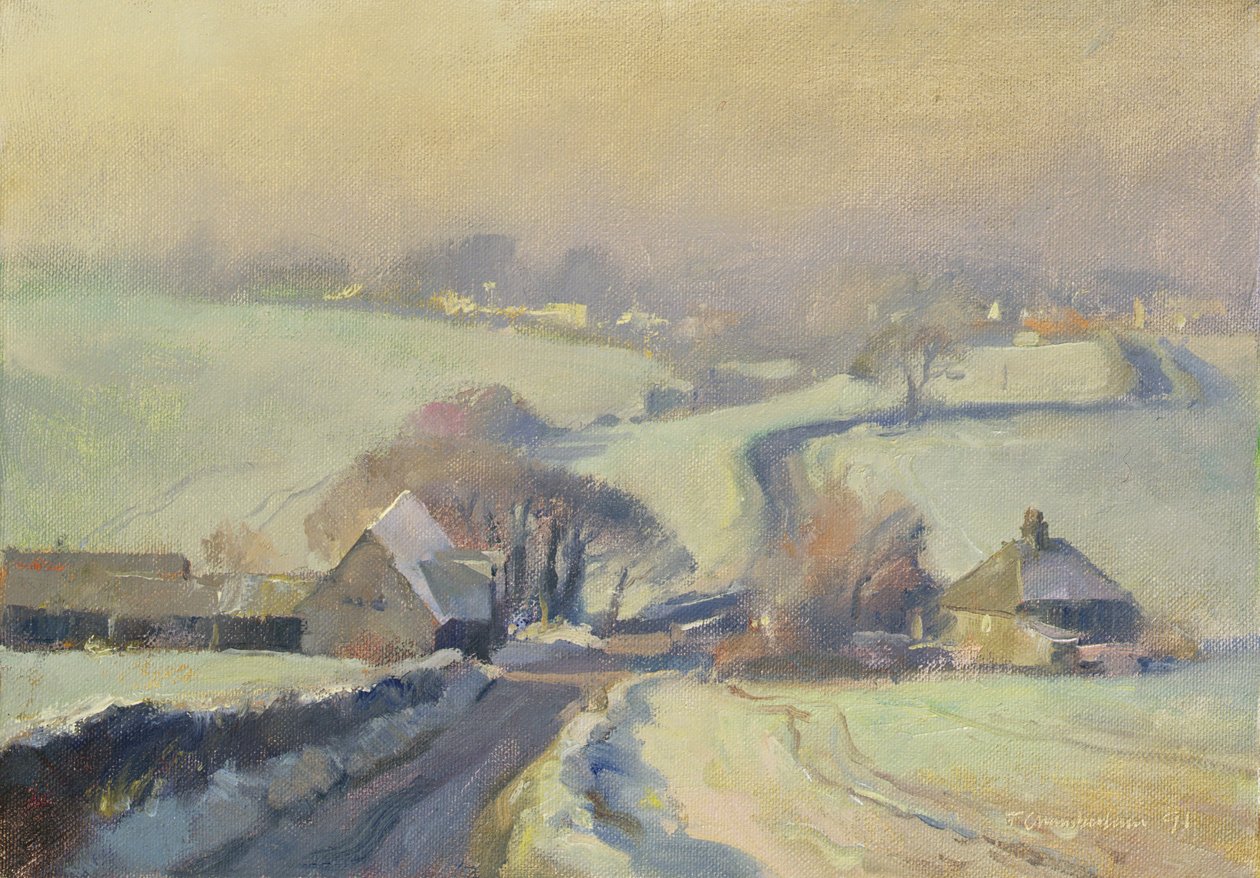 Frosty fields, Aston, 1991 av Trevor Chamberlain