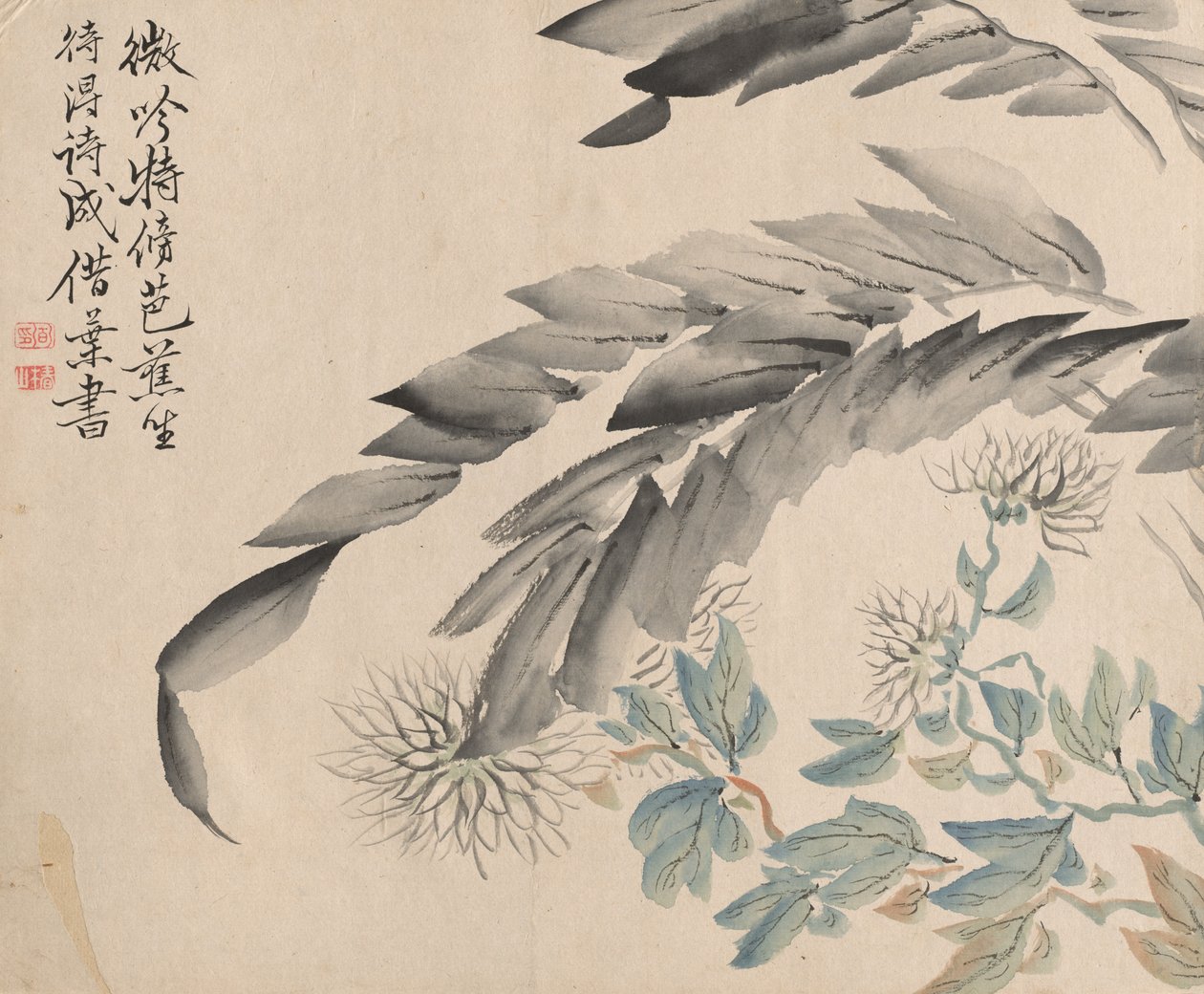 Krysantemum og blader av et morbærtre. av Tsubaki Chinzan