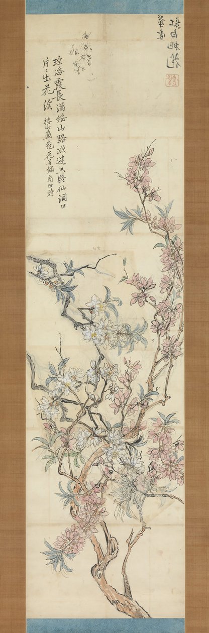 Røde og hvite ferskenblomster, forberedende skisse, 1843. av Tsubaki Chinzan
