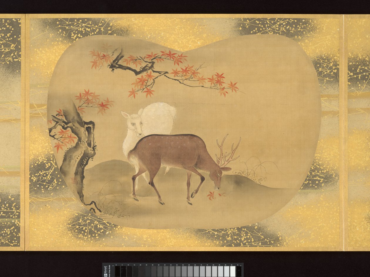 Album med vifteformede malerier av figurer, fugler og blomster av Tsunenobu Kano