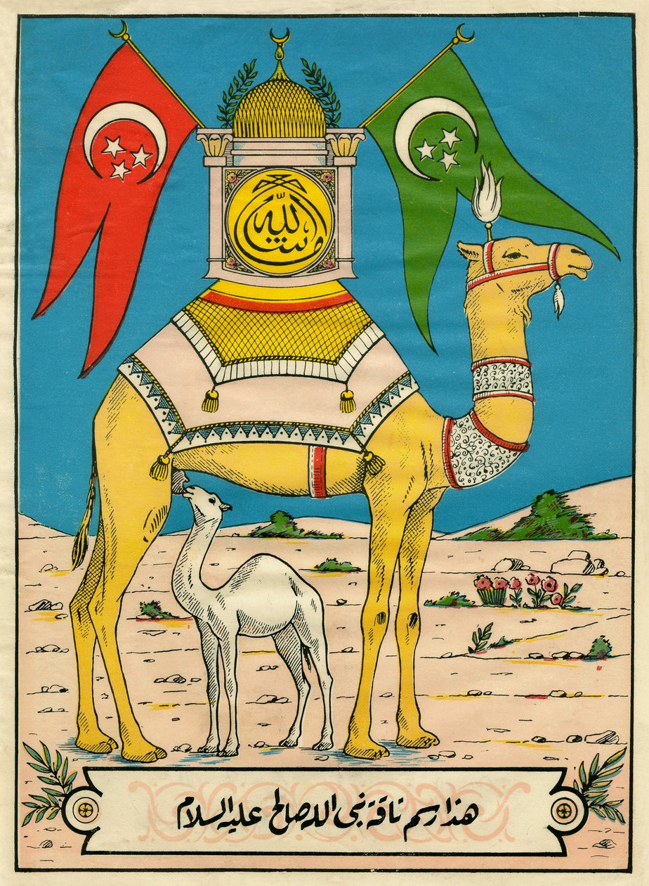 The Camel of Saleh, Sura 7, vers 71: (...) denne Guds kamel er for deg et tegn (...). Populære bilder, Tunisia av Tunisian School