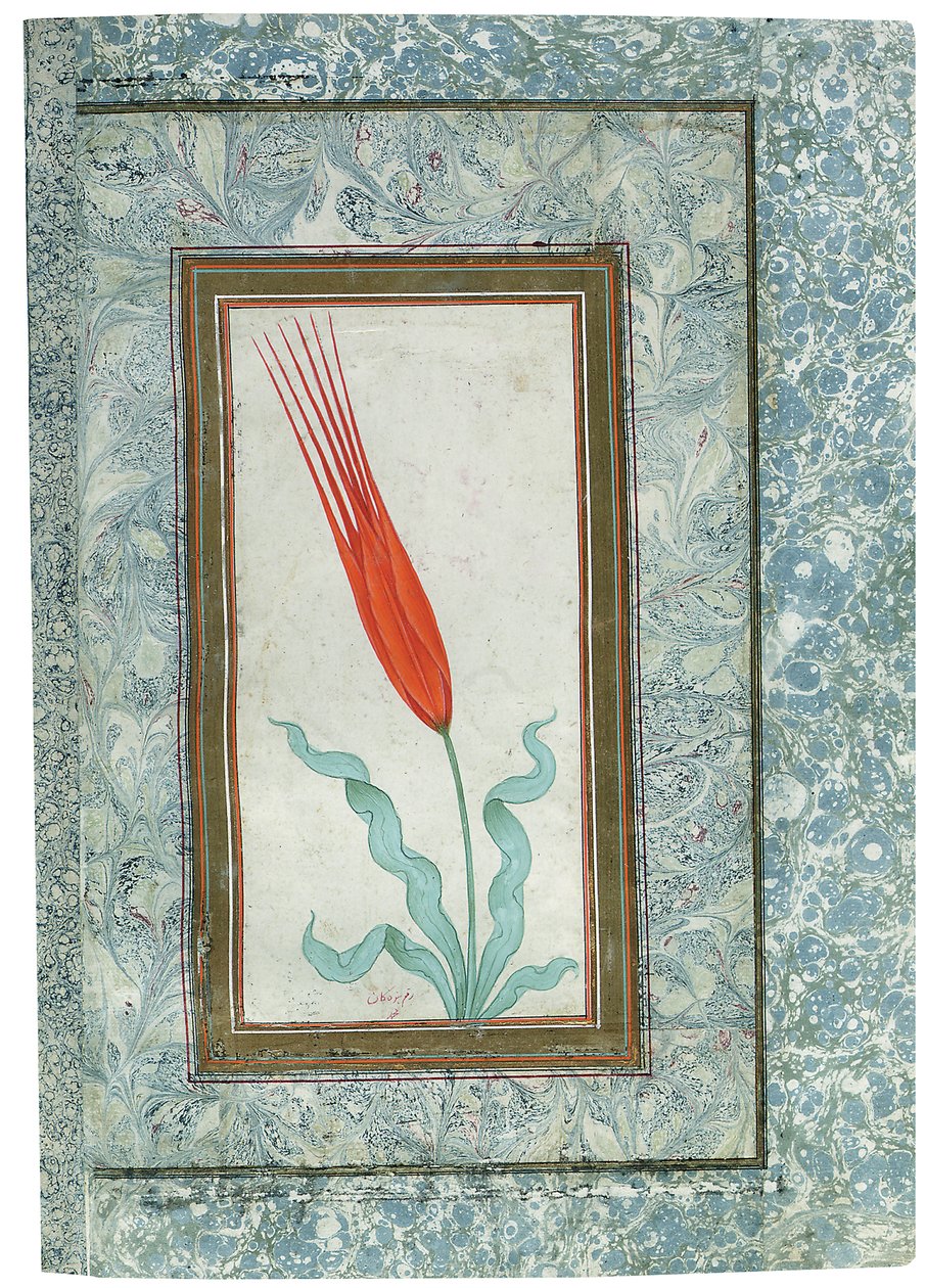 Side fra det tyrkiske tulipanalbumet, Istanbul, 1725 av Turkish School