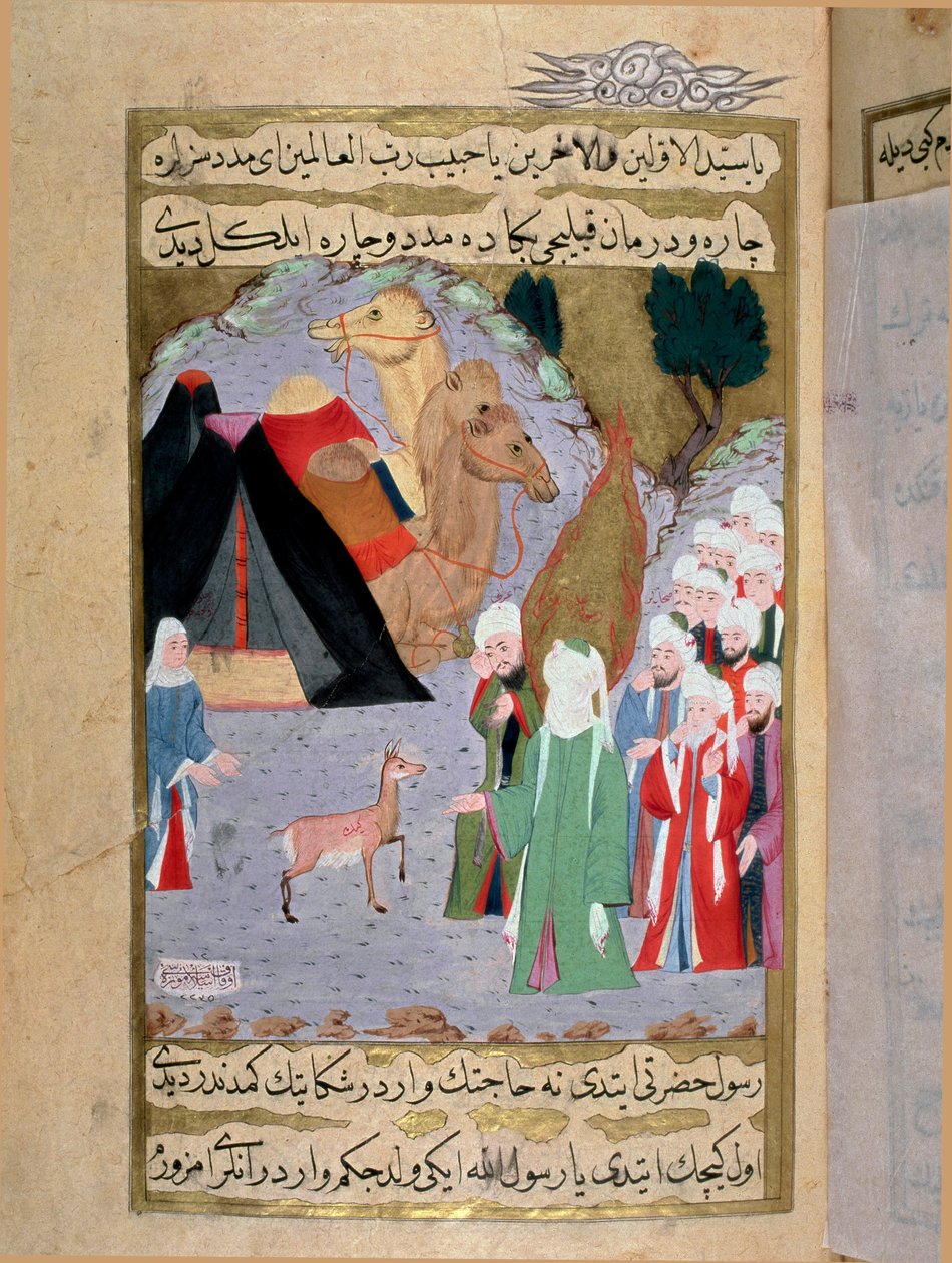 Profeten Muhammed (Mohammed eller Muhammad) (570-632) lytter til gråten til en miniatyrdoe fra et tyrkisk manuskript skrevet av Erzeni, illustrert av Seyyid Suleiman Pasha, som forteller om livet til Muhammed på 1700-tallet. Istanbul, tyrkisk-islamsk kunst av Turkish School