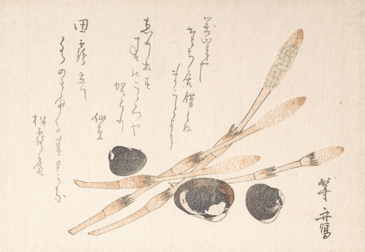 Tsukushi-plante og smaksskjell. av Uematsu Toshu