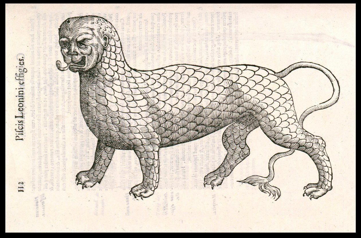 Monster Creature: en løve dekket med fiskeskjell (eller løvefisk). Gravering av Ulisse Aldrovandi (1522-1605), «Monstrorum Historiae», Bologna 1642 av Ulisse Aldrovandi