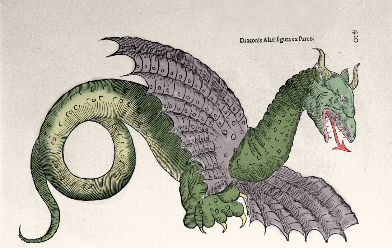 Representasjon av Ambroise Pare (1509-1590) i hennes bok "Monsters and wonders". Gravrue d