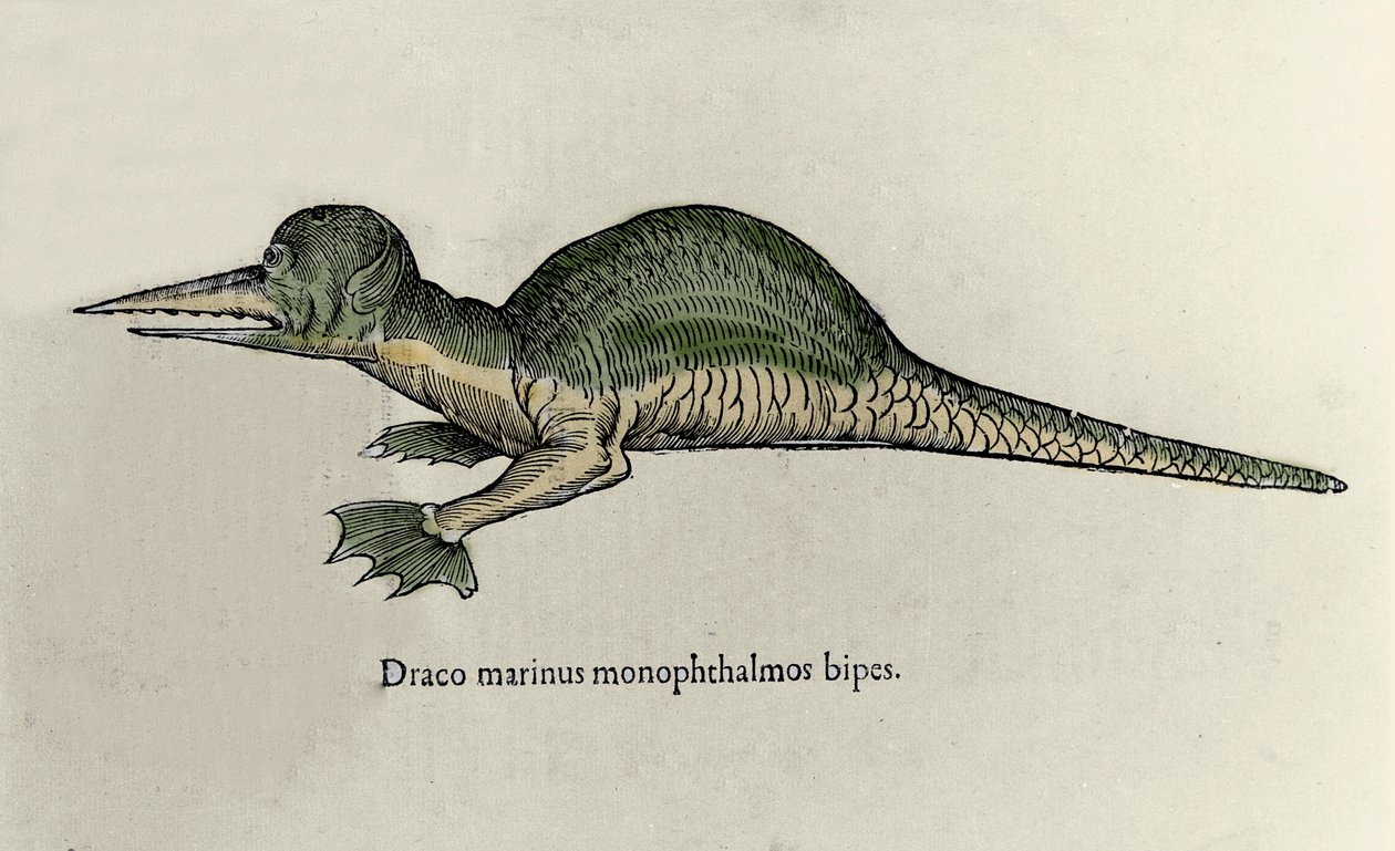 Representasjon av en marin drage. Plate med et naturhistorisk manuskript av Ulisse Aldrovandi (1522-1605) om monstre av Ulisse Aldrovandi