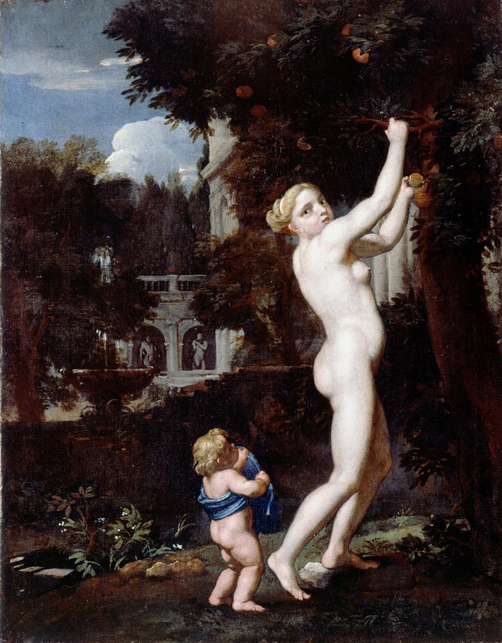 Venus samler epler av Unbekannt Unbekannt