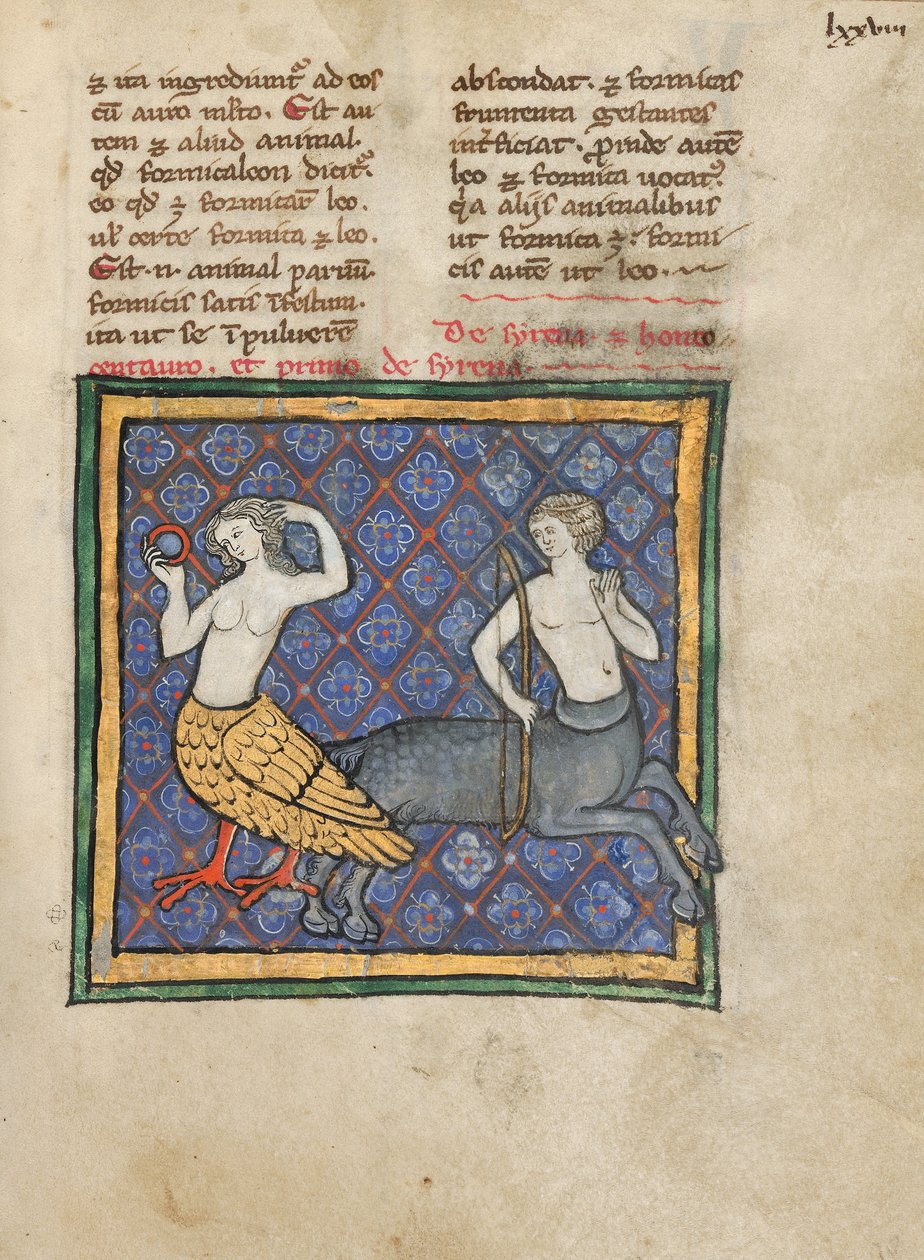 En sirene og en centaur av Unbekannt Unbekannt