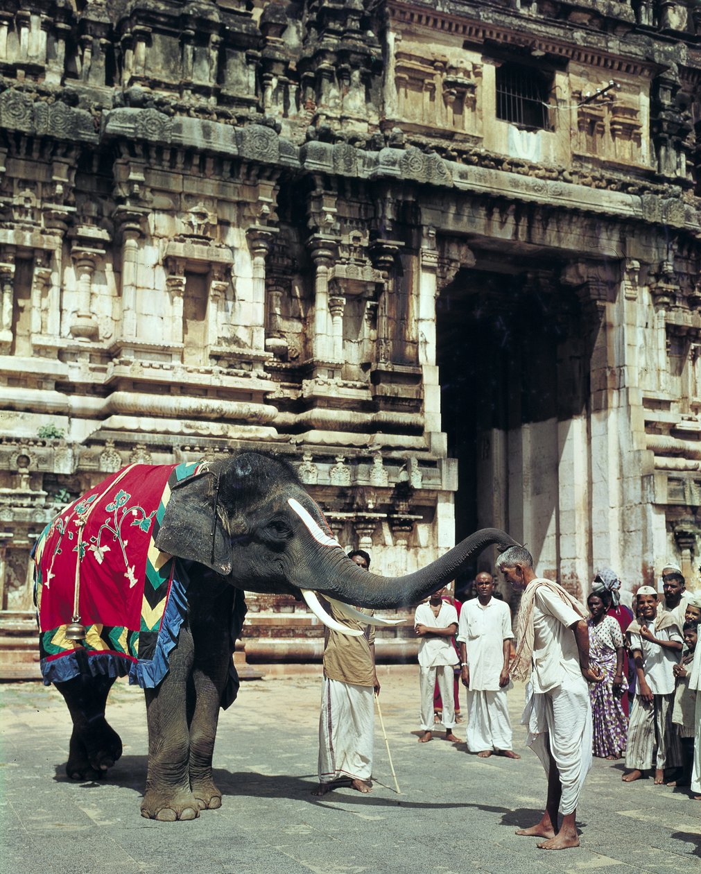 En mann som blir velsignet av en elefant ved Varadarajaswamy-tempelet av Unbekannt Unbekannt