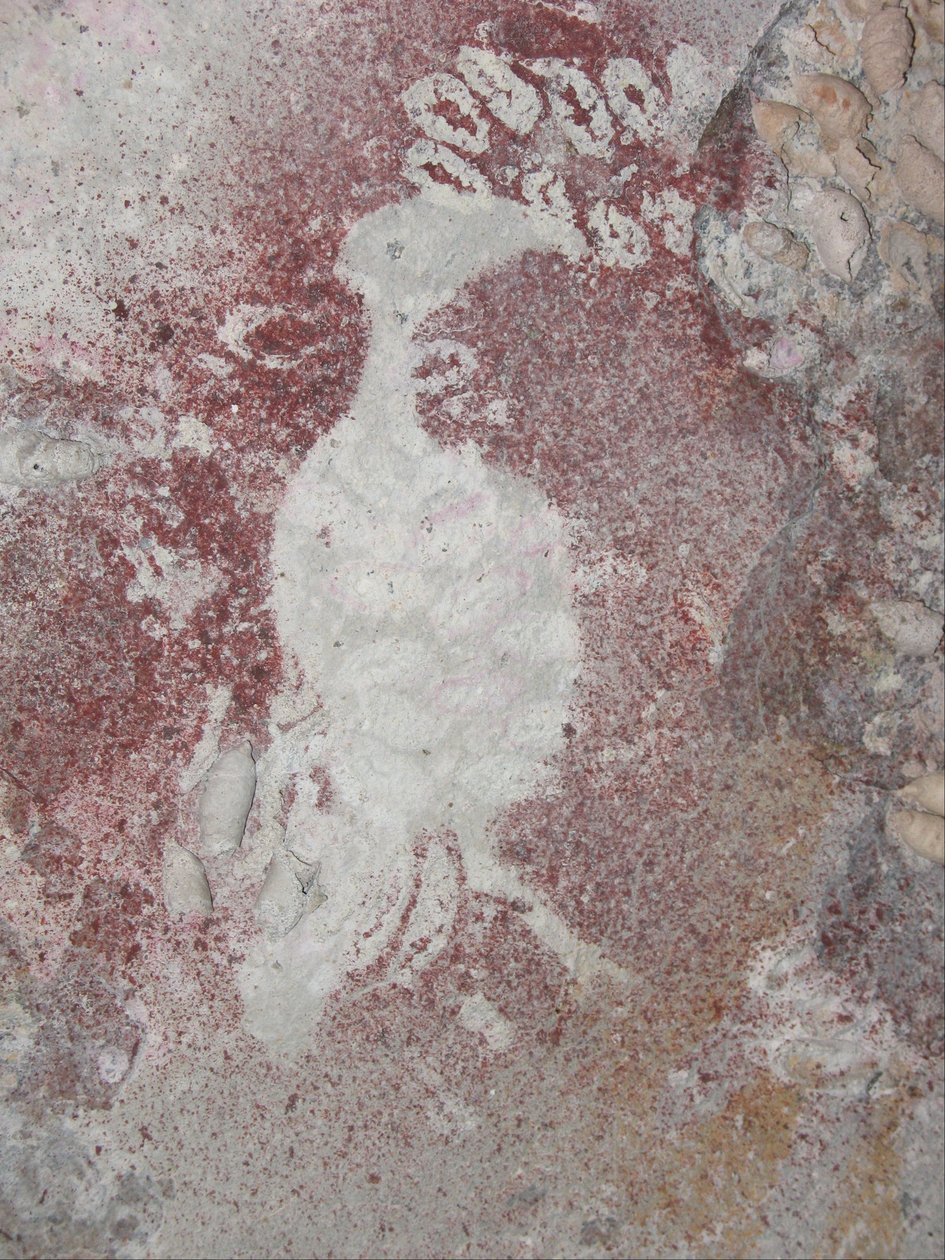 Fuglstencil 4 av Unbekannt Unbekannt