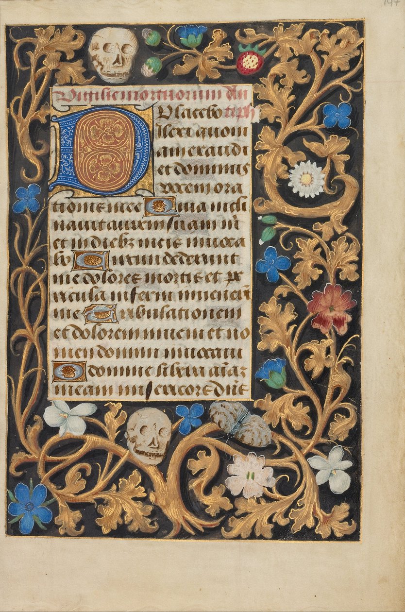 Decorated Initial D (6821879) av Unbekannt Unbekannt