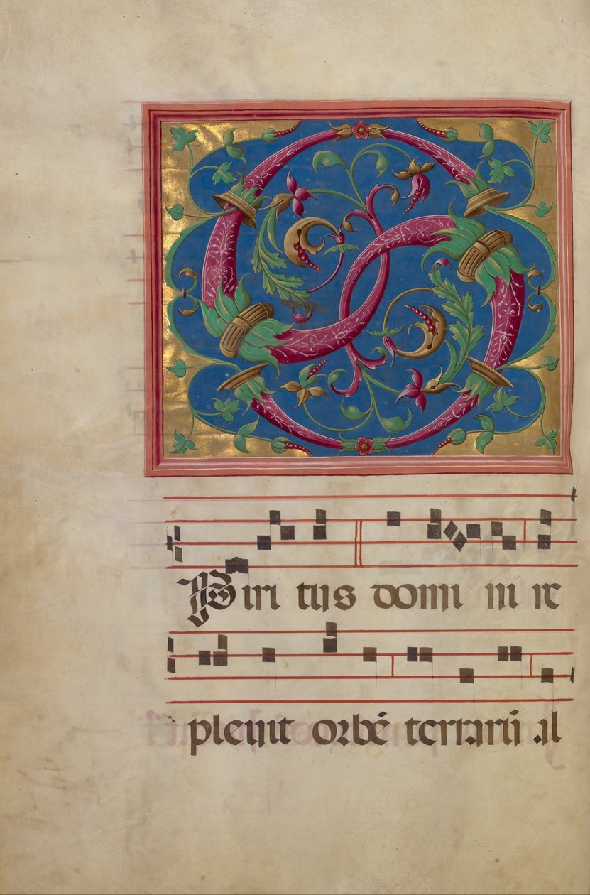 Dekorert Initial S av Unbekannt Unbekannt