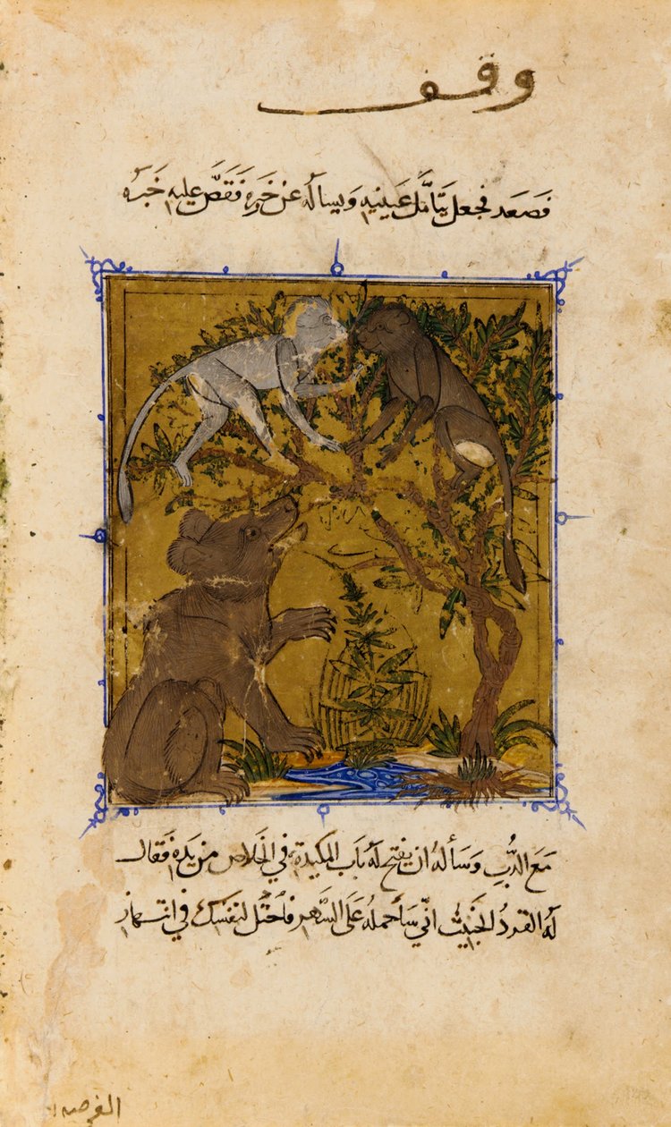 Folio fra en Sulwan al-Muta (Trøst av nytelse) av Ibn Zafar; verso- The Tale of the Bear and the M ... av Unbekannt Unbekannt