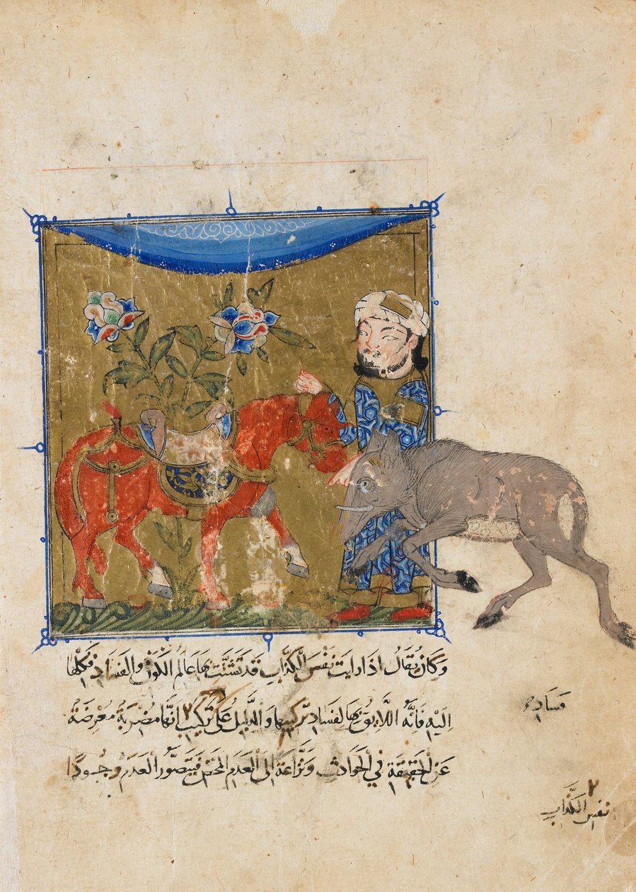 Folio fra en Sulwan al-Muta av Ibn Zafar; verso- villsvinet og hesten av Unbekannt Unbekannt
