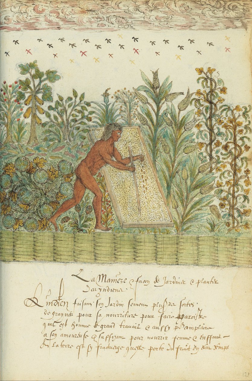 Natural History of India av Unbekannt Unbekannt