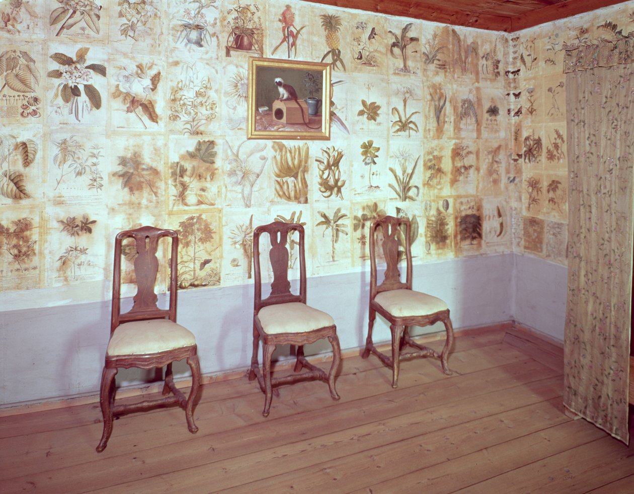 Interiør med botanisk tapet av hjemmet til Carl Linnaeus, Hammarby, Uppsala, Sverige foto av Unbekannt Unbekannt