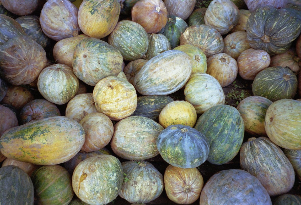 Melons, 1995 (bilde) av Unbekannt Unbekannt