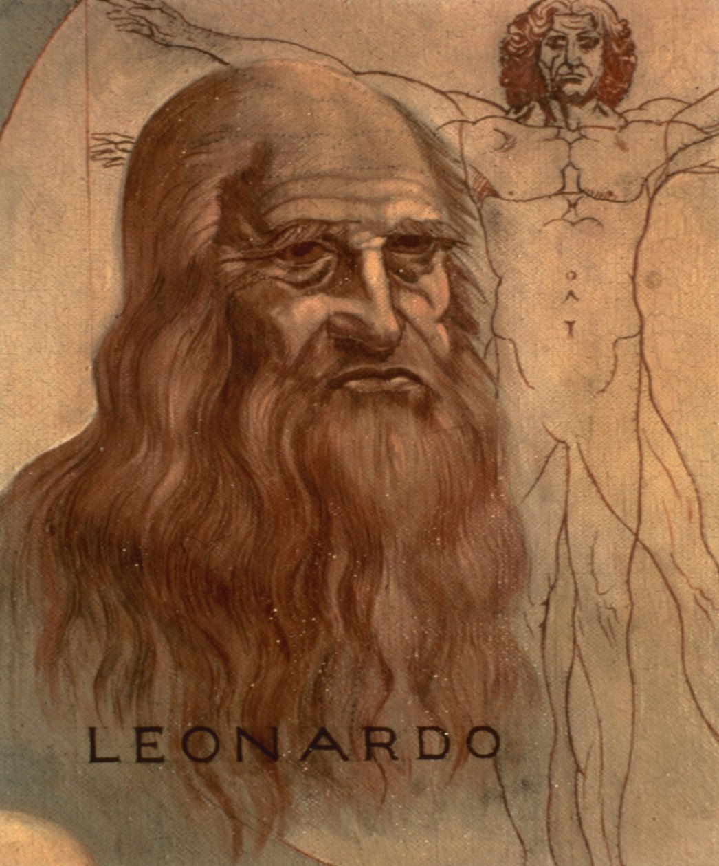 Portrett av Leonardo da Vinci med sin "vitruvianske mann" av Unbekannt Unbekannt