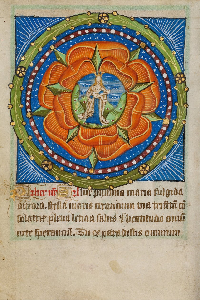 Rosenkrans med Virgo Lactans av Unbekannt Unbekannt