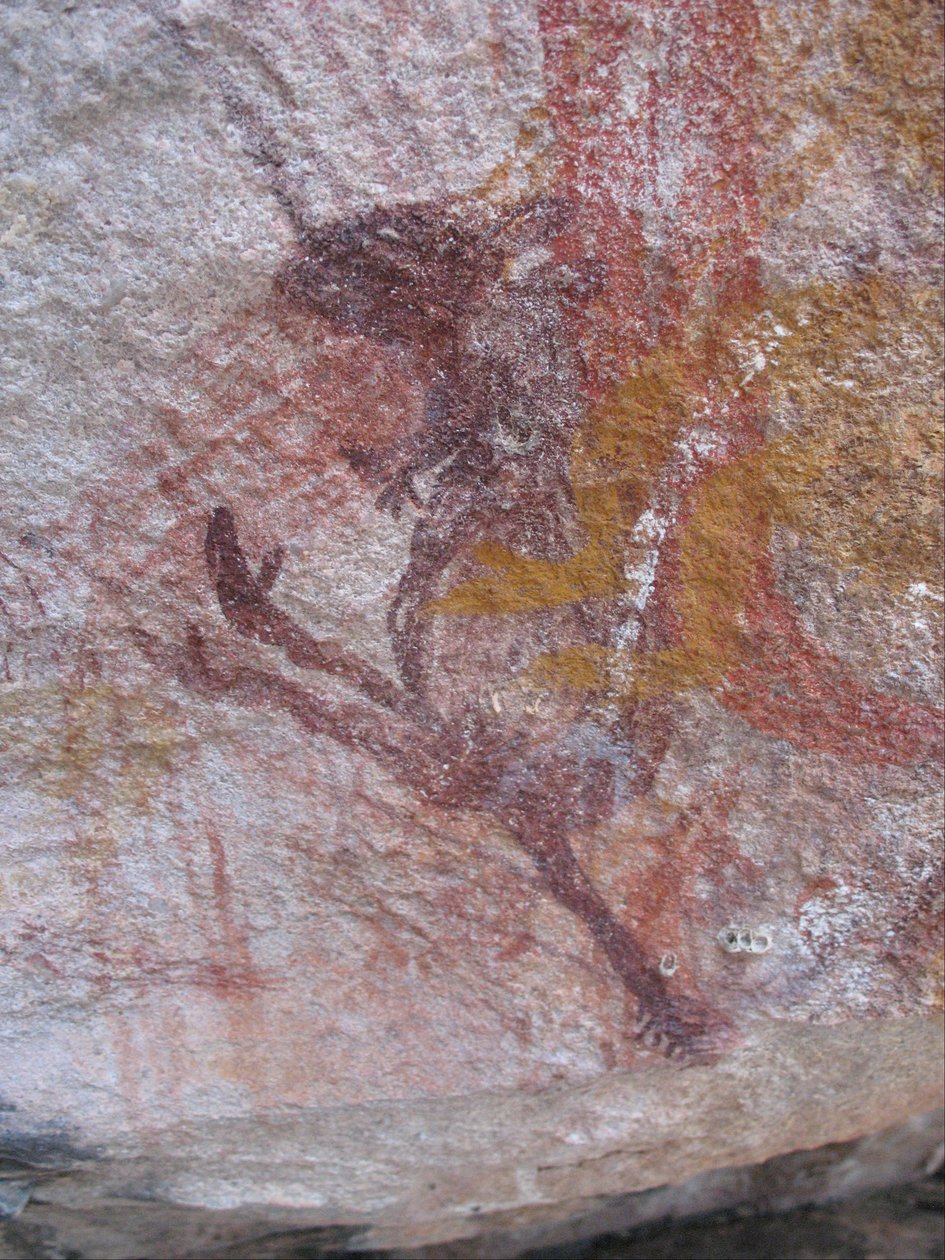 Liten lilla wallaby av Unbekannt Unbekannt