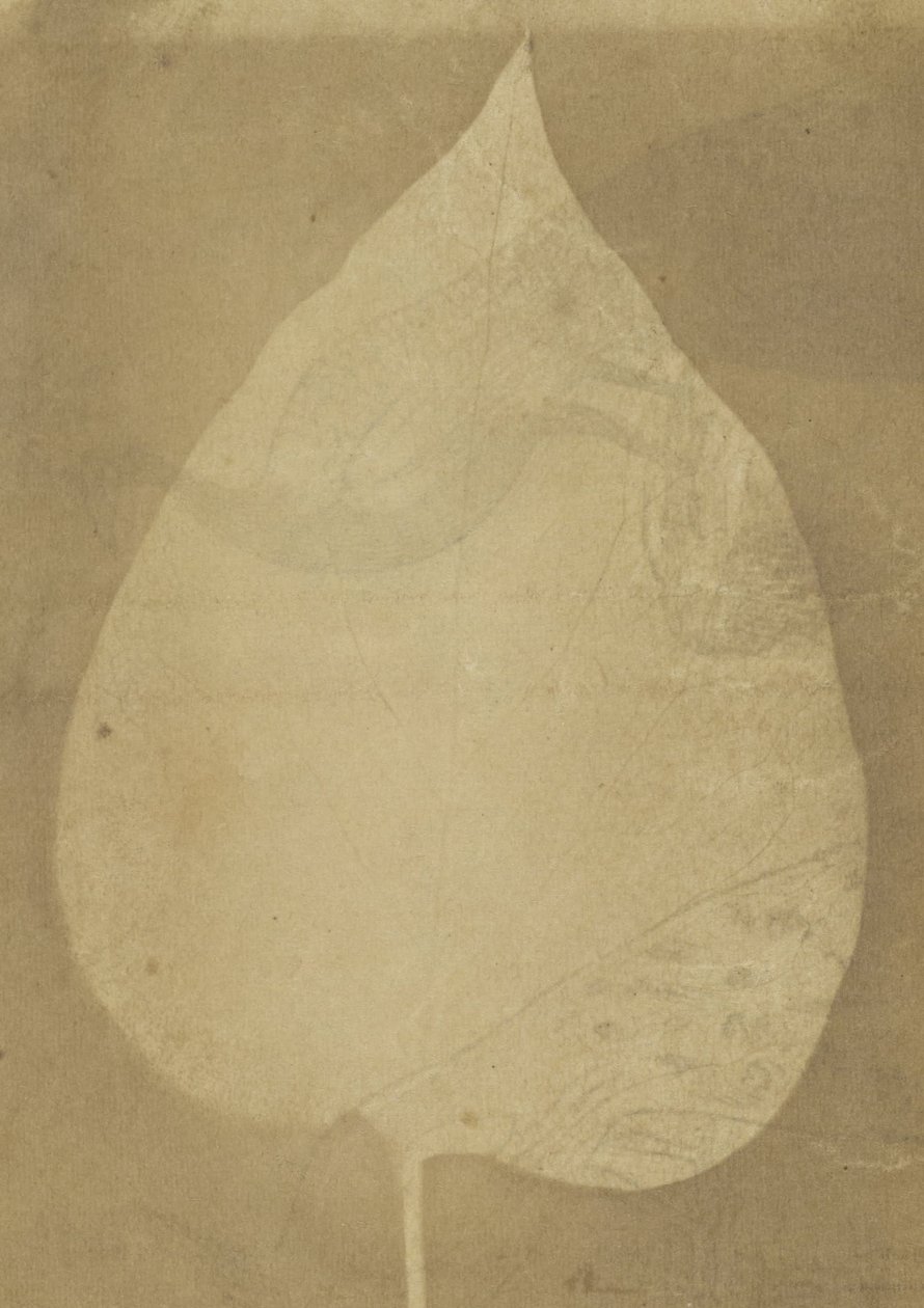 Ukjent produsent, britisk, aktivt India ca 1843 - (Et enkelt blad) av Unbekannt Unbekannt