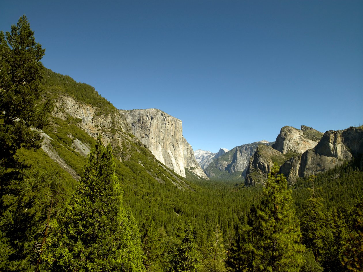 Yosemite Valley, California av Unbekannt Unbekannt