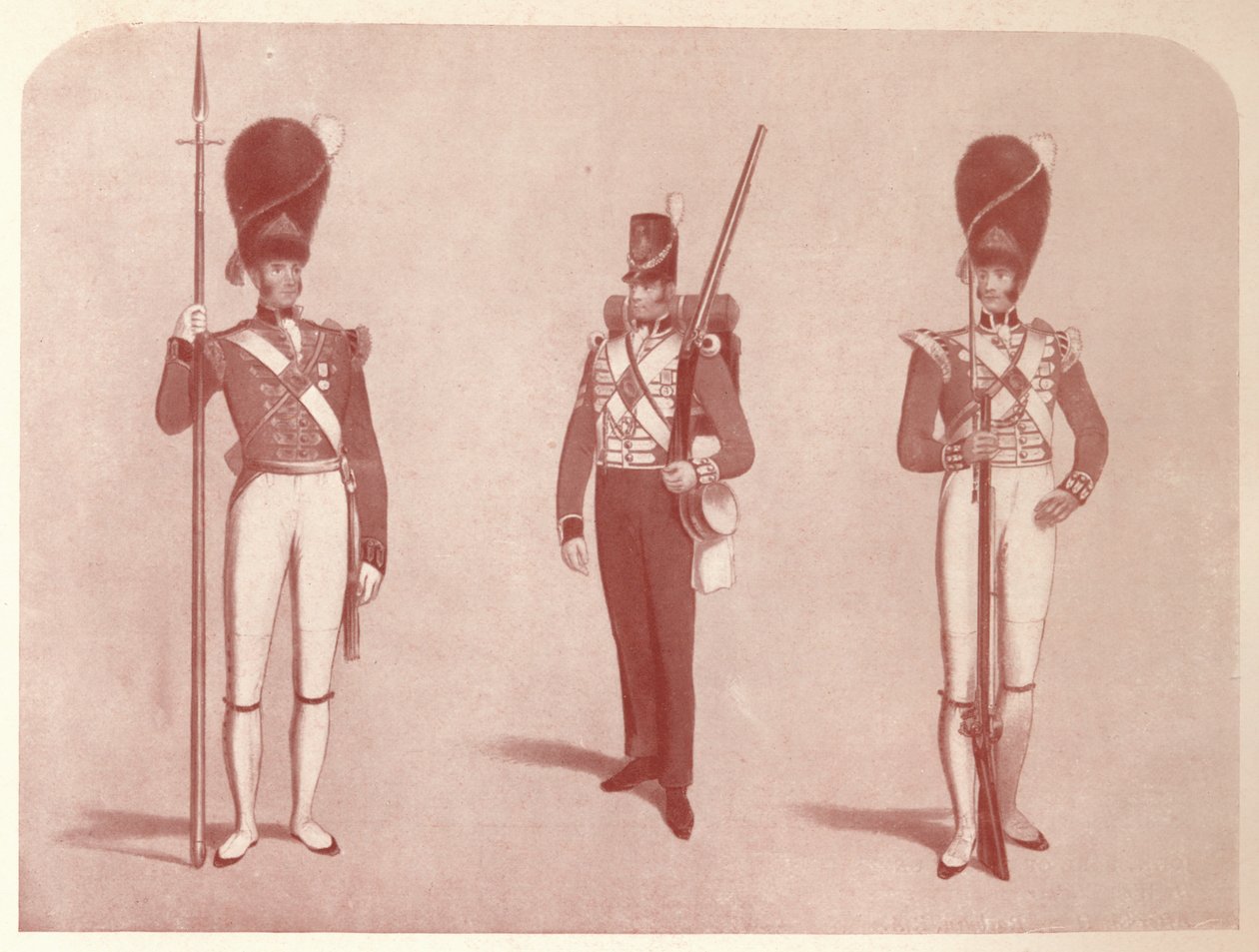 1. eller Grenadier Regiment of Guards i 1815, 1909 av Unbekannt