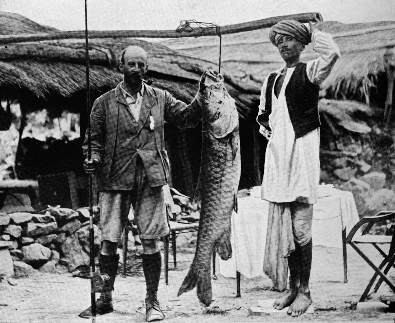 59 pund Mahseer, fanget av kaptein H. B. D. Campbell, R.E., i Upper Ganges, c1903, 1903 av Unbekannt