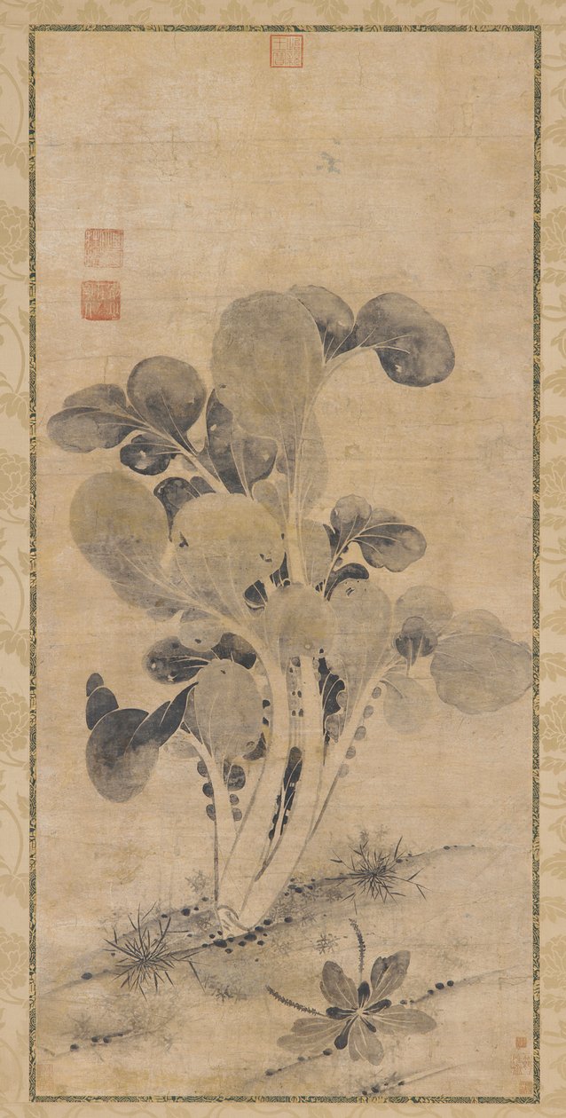 En kålplante, sen Yuan eller tidlig Ming-dynastiet, 1300-1400-tallet. av Unbekannt