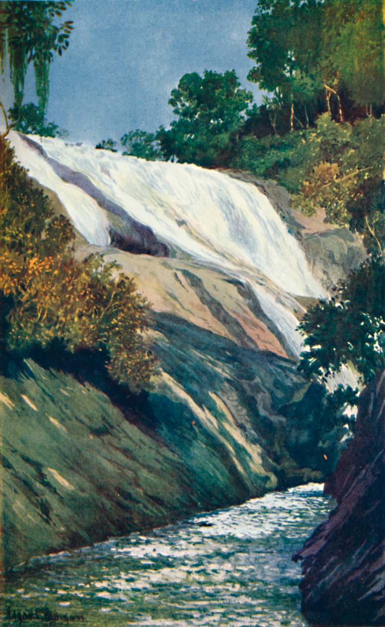 Kaskaden til Tijuca, Rio, 1914 av Unbekannt