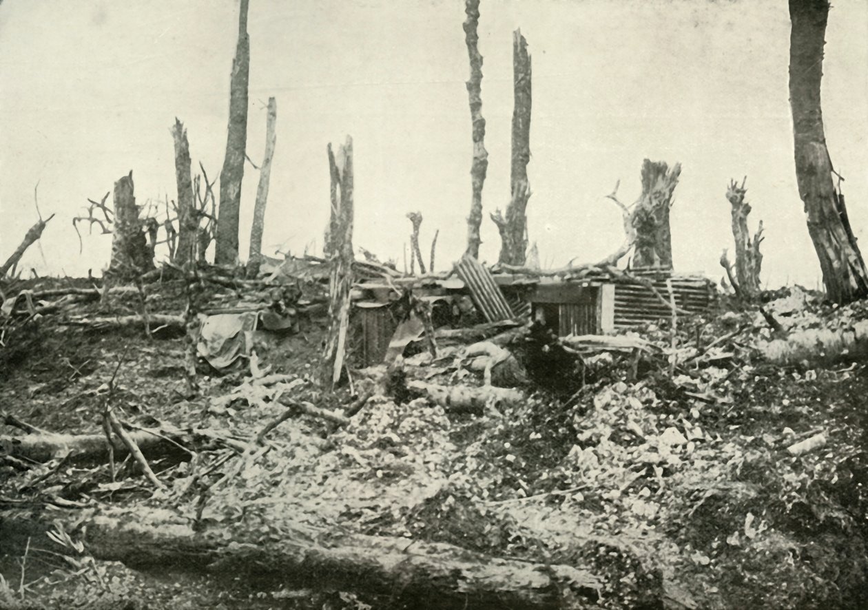 A Dug-Out i What Was Once A Sylvan Wood, 1919. av Unbekannt