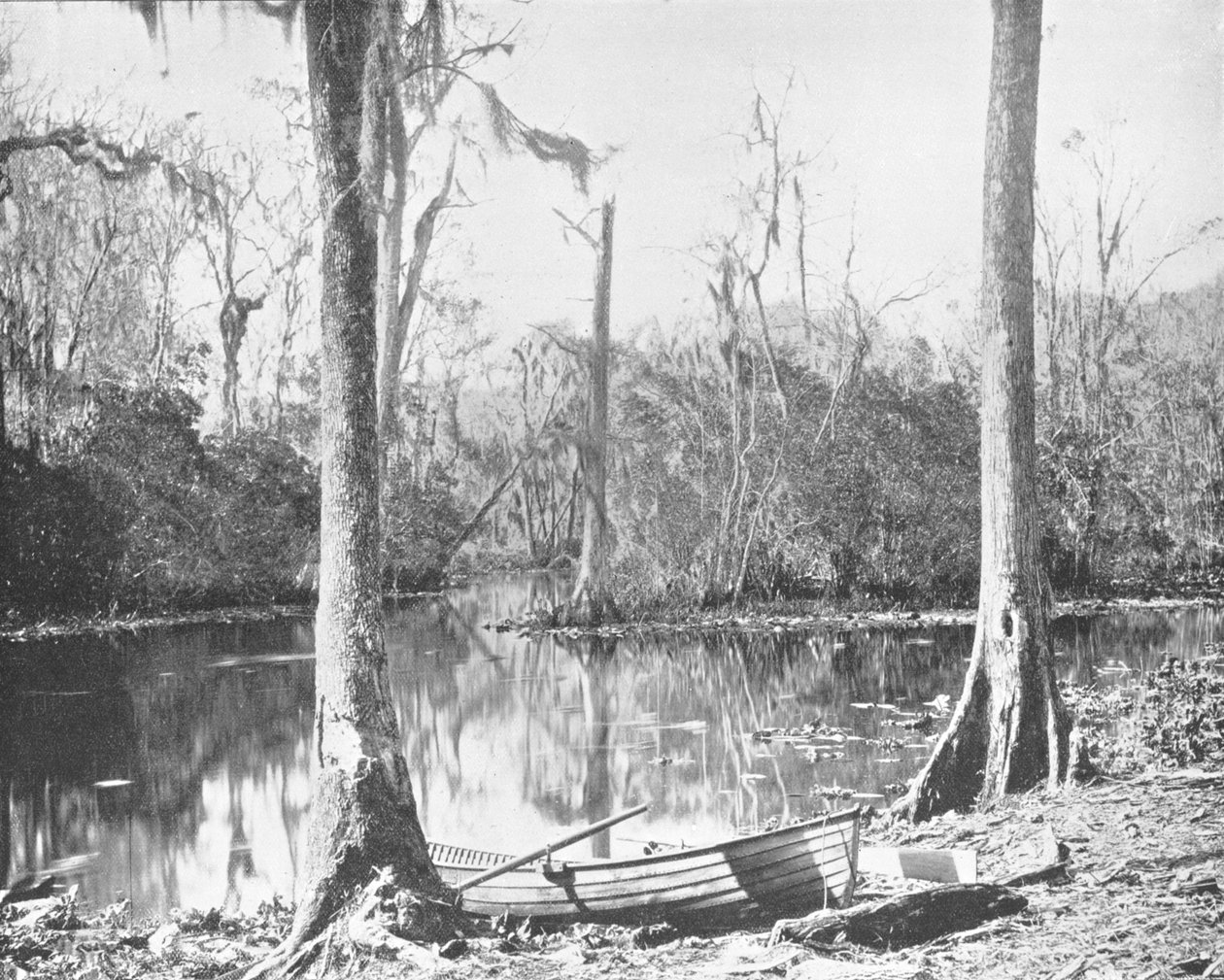 A Feeder of the St. Johns River, Florida, USA, c1900. av Unbekannt