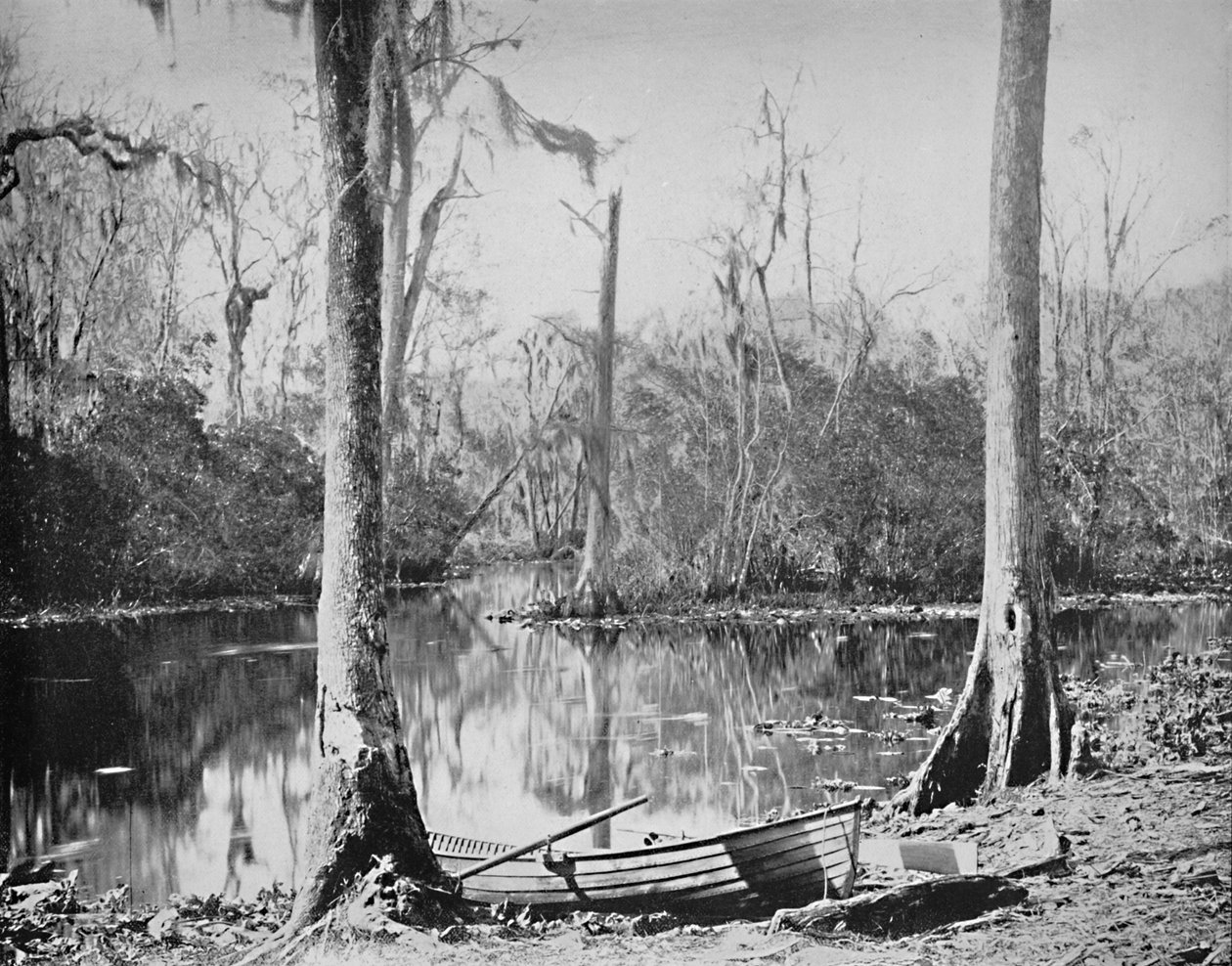 A Feeder of the St. Johns River, Florida, c1897. av Unbekannt
